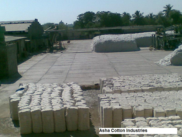 Cotton, Industries